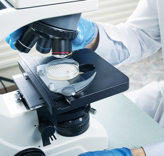 Working with a Microscope